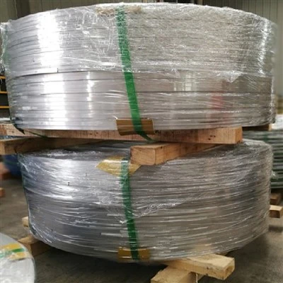 Astm A36 bobin asye